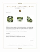 1.04 Ct. Yellowish Green Tourmaline from Ceylon (Sri Lanka) Appraisal