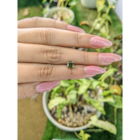 0.98 Ct. Tourmaline from Ceylon (Sri Lanka) Life Style