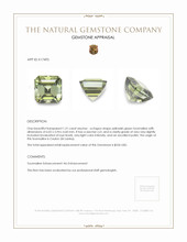 1.21 Ct. Yellowish Green Tourmaline from Ceylon (Sri Lanka) Appraisal