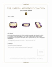 9.04 Ct. Ametrine from Madagascar Appraisal