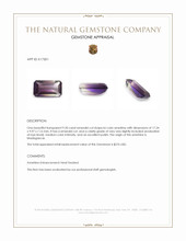 9.20 Ct. Ametrine from Madagascar Appraisal