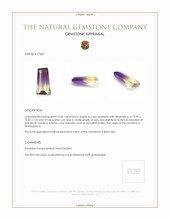 10.05 Ct. Bi Color Ametrine from Madagascar Appraisal