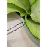 1.30 Ct. Tsavorite Garnet from Tanzania Life Style
