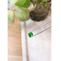 1.70 Ct. Tsavorite Garnet from Tanzania Life Style