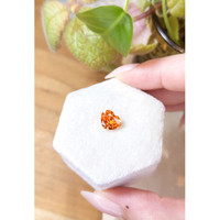 2.38 Ct. Spessartite Garnet from Ceylon (Sri Lanka) Life Style