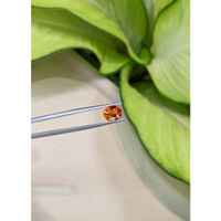 3.14 Ct. Spessartite Garnet from Ceylon (Sri Lanka) Life Style