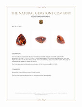 8.18 Ct. Spessartite Garnet from Ceylon (Sri Lanka) Appraisal