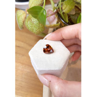 8.18 Ct. Spessartite Garnet from Ceylon (Sri Lanka) Life Style