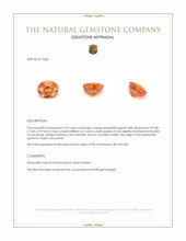 3.74 Ct. Orange Spessartite Garnet from Ceylon (Sri Lanka) Appraisal