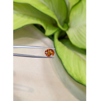 3.31 Ct. Spessartite Garnet from Ceylon (Sri Lanka) Life Style