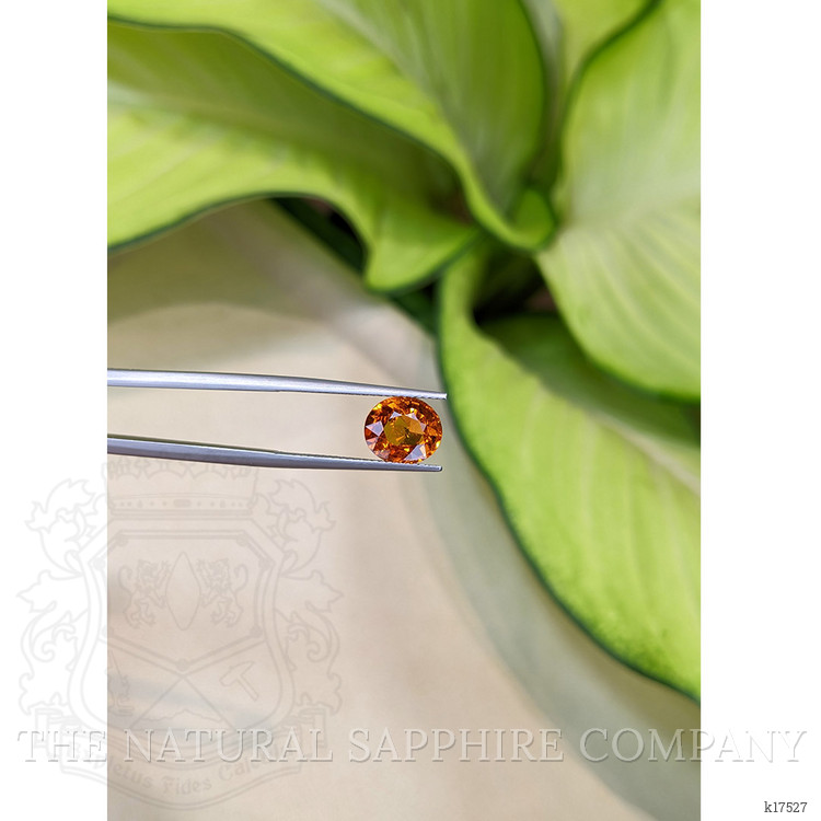 3.31 Ct. Spessartite Garnet from Ceylon (Sri Lanka)