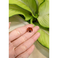 8.29 Ct. Spessartite Garnet from Ceylon (Sri Lanka) Life Style