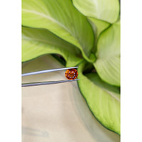 5.24 Ct. Spessartite Garnet from Ceylon (Sri Lanka) Life Style