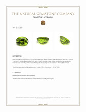 13.67 Ct. Green Peridot from Burma (Myanmar) Appraisal
