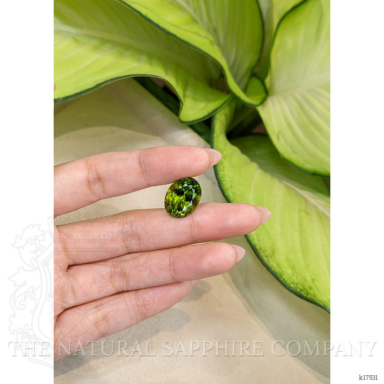 13.67 Ct. Peridot from Burma (Myanmar)