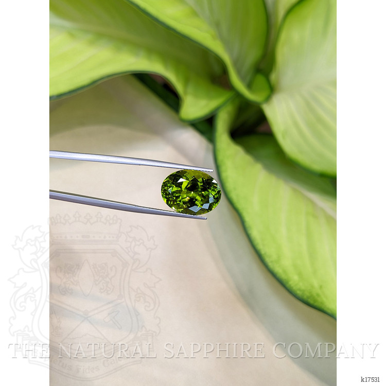 13.67 Ct. Peridot from Burma (Myanmar)