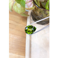 25.68 Ct. Peridot from Burma (Myanmar) Life Style