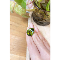 25.68 Ct. Peridot from Burma (Myanmar) Life Style