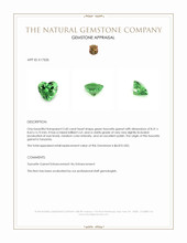 2.60 Ct. Tsavorite Garnet from Tanzania Appraisal