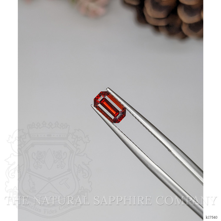 1.10 Ct. Garnet from Ceylon (Sri Lanka)