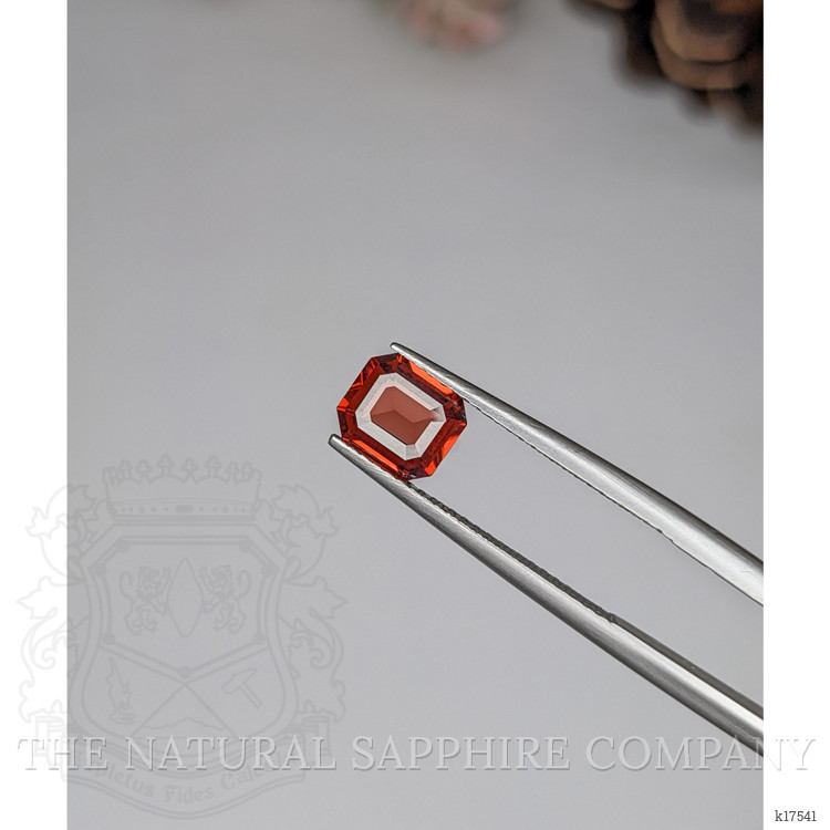 1.18 Ct. Garnet from Ceylon (Sri Lanka)