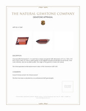 1.14 Ct. Garnet from Ceylon (Sri Lanka) Appraisal