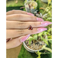 1.86 Ct. Garnet from Ceylon (Sri Lanka) Life Style