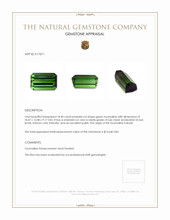 18.40 Ct. Tourmaline from Brazil Appraisal