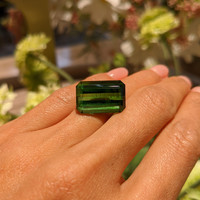 18.40 Ct. Tourmaline from Brazil Life Style
