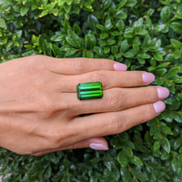 18.40 Ct. Tourmaline from Brazil Life Style