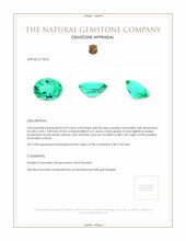 0.49 Ct. Green Paraiba Tourmaline from Brazil Appraisal