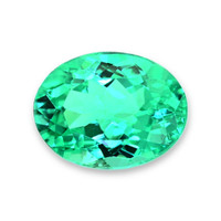 0.49 Ct. Paraiba Tourmaline from Brazil Video