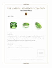 19.02 Ct. Green Prasiolite from Madagascar Appraisal