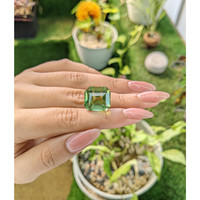 19.02 Ct. Prasiolite from Madagascar Life Style