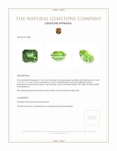 17.64 Ct. Prasiolite from Madagascar Appraisal