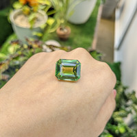 17.64 Ct. Prasiolite from Madagascar Life Style