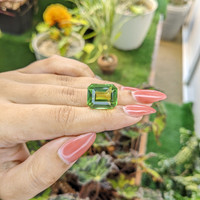 17.64 Ct. Prasiolite from Madagascar Life Style