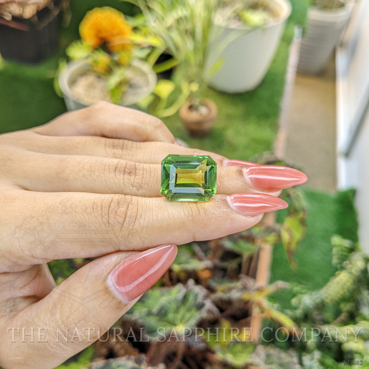 17.64 Ct. Prasiolite from Madagascar