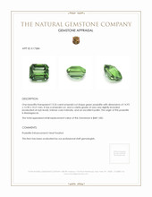13.35 Ct. Green Prasiolite from Madagascar Appraisal