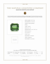 13.35 Ct. Prasiolite from Madagascar Scan Report