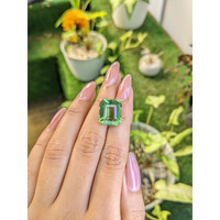 13.35 Ct. Prasiolite from Madagascar Life Style