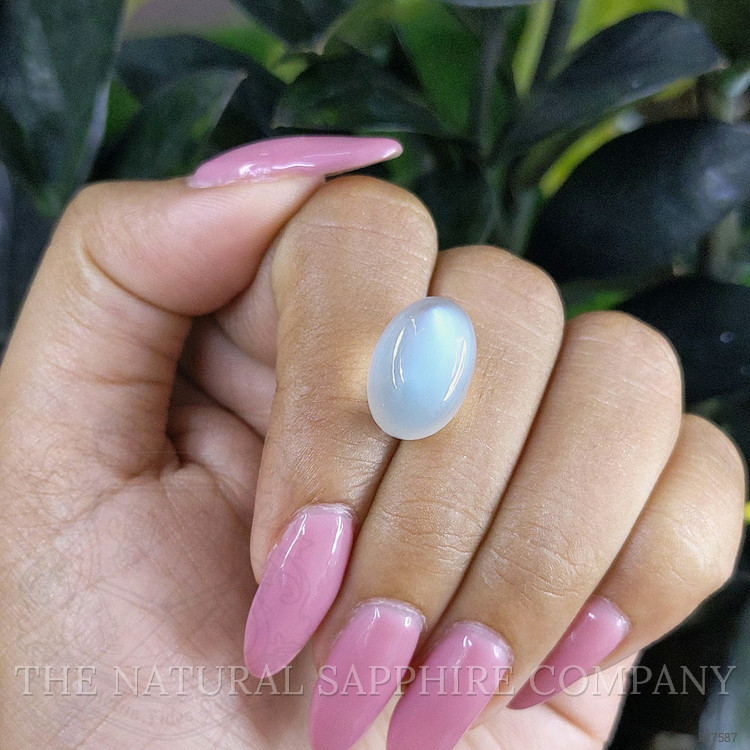 13.61 Ct. Cabochon Moonstone from Ceylon (Sri Lanka)