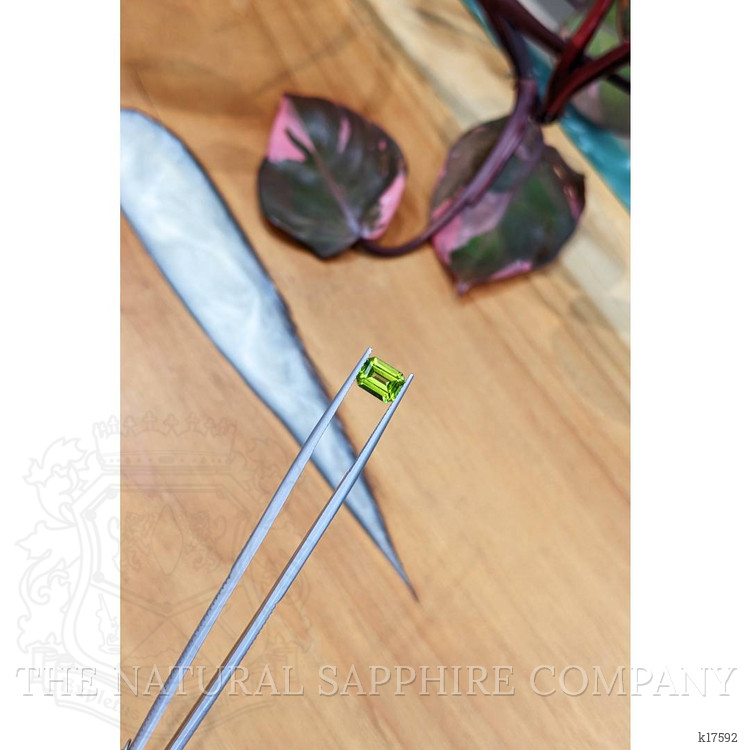 1.48 Ct. Peridot from Brazil