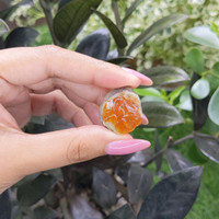 37.40 Ct. Fire Opal Life Style