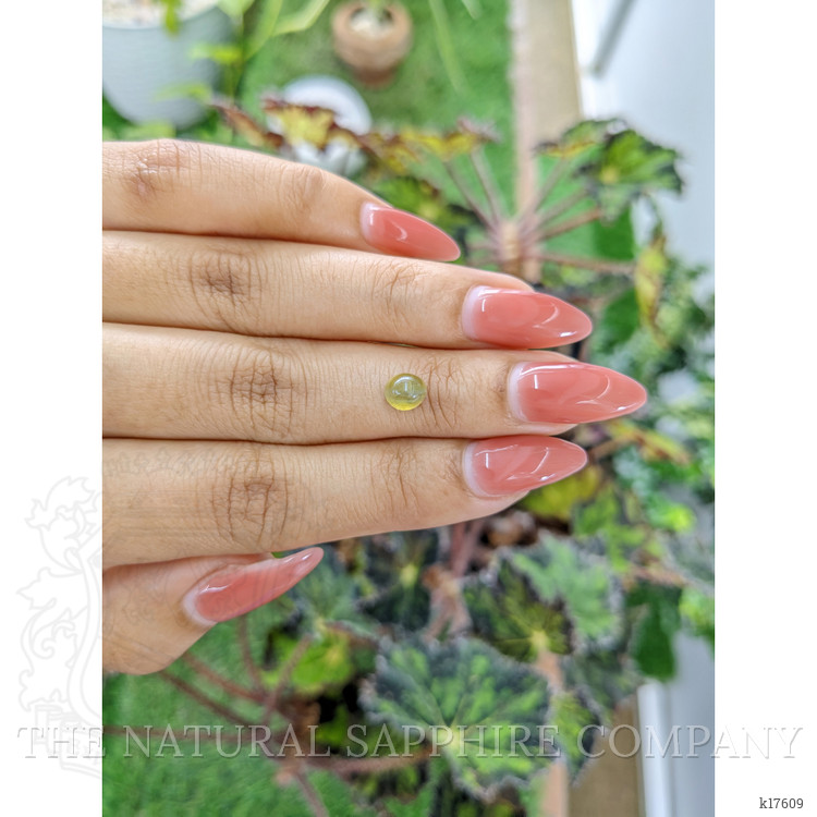 1.40 Ct. Cabochon Chrysoberyl from Ceylon (Sri Lanka)