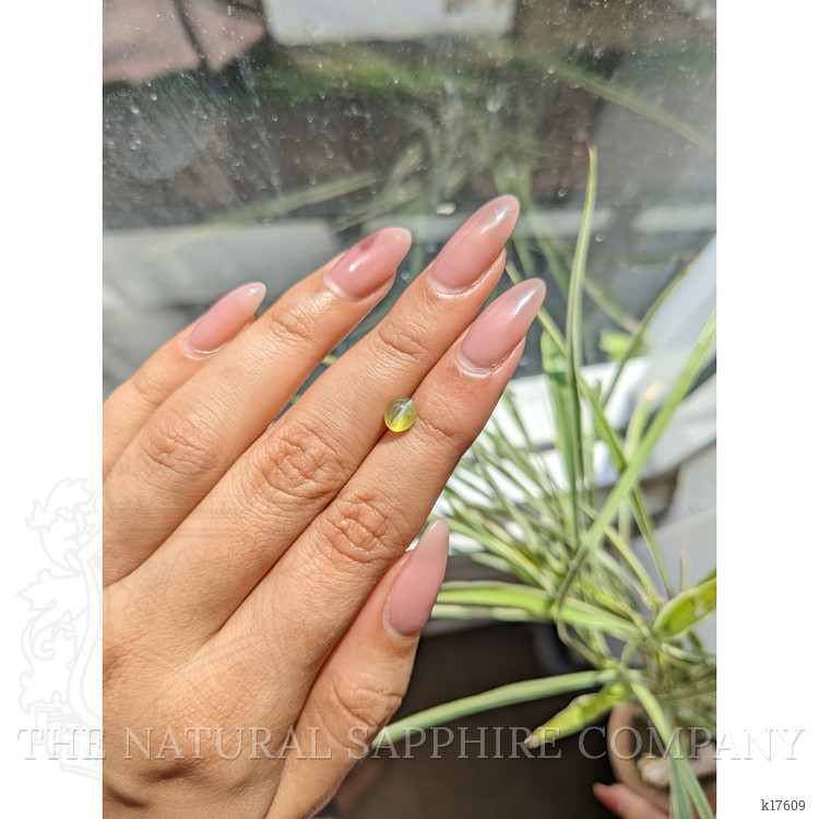 1.40 Ct. Cabochon Chrysoberyl from Ceylon (Sri Lanka)