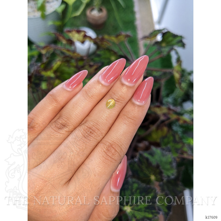 1.40 Ct. Cabochon Chrysoberyl from Ceylon (Sri Lanka)