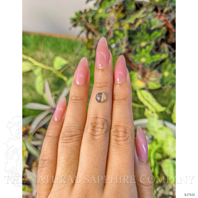 1.47 Ct. Cabochon Chrysoberyl from Ceylon (Sri Lanka)