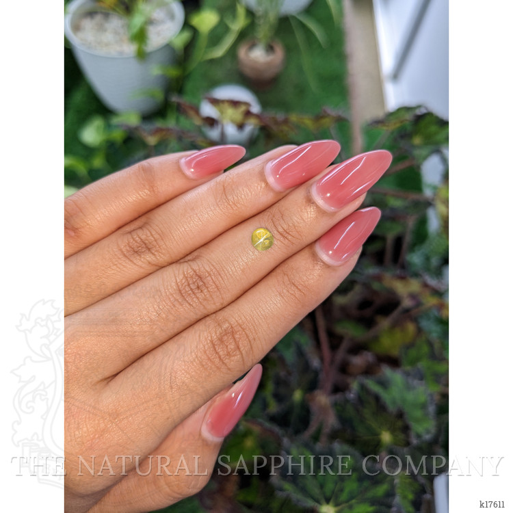 1.07 Ct. Cabochon Chrysoberyl from Ceylon (Sri Lanka)