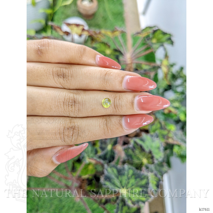 1.07 Ct. Cabochon Chrysoberyl from Ceylon (Sri Lanka)